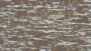 Organik desenli yüzey giriş stili video film sanatı ile soyut arkaplan tasarımı