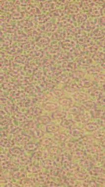 Yaratıcı video düzenleme film tasarımı için benzersiz hareket grafikleri biçimi giriş hareketi video pro