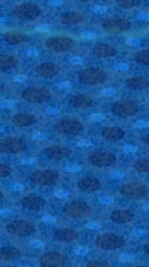 Benzersiz dijital hareket grafiklerine sahip yaratıcı sinematik projeler için yumuşak animasyon yüzeyi