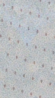 Benzersiz hareket dokusu tasarım sanatı ile profesyonel video düzenleme için modern soyut grafikler