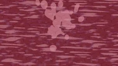 Benzersiz dijital hareket grafiklerine sahip yaratıcı sinematik projeler için yumuşak animasyon yüzeyi