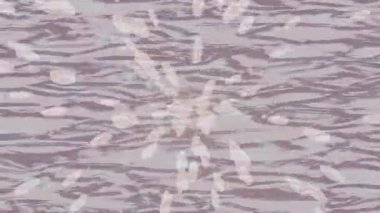 Soyut hareket desenli fütüristik video üretimi için dinamik dijital arkaplan