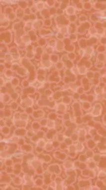 Yaratıcı video düzenleme film arkaplan tasarımı için minimalist organik hareket grafikleri