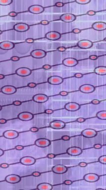 Benzersiz dijital hareket grafiklerine sahip yaratıcı sinematik projeler için yumuşak animasyon yüzeyi