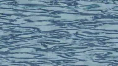 Yaratıcı video düzenleme film arkaplan tasarımı için minimalist organik hareket grafikleri