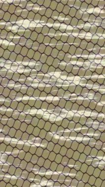 Yaratıcı video düzenleme film arkaplan tasarımı için minimalist organik hareket grafikleri