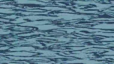 Benzersiz dijital hareket grafiklerine sahip yaratıcı sinematik projeler için yumuşak animasyon yüzeyi