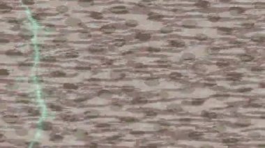 Dijital doku yüzey tasarım biçimi ile modern video animasyonu için gelişmiş hareket grafikleri