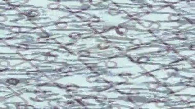 Benzersiz hareket dokusu tasarım sanatı ile profesyonel video düzenleme için modern soyut grafikler