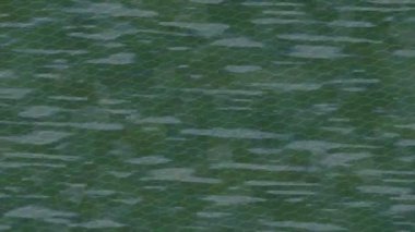 Benzersiz dijital hareket grafiklerine sahip yaratıcı sinematik projeler için yumuşak animasyon yüzeyi