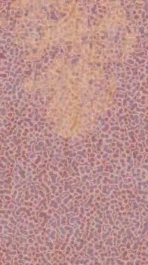 Benzersiz dijital hareket grafiklerine sahip yaratıcı sinematik projeler için yumuşak animasyon yüzeyi