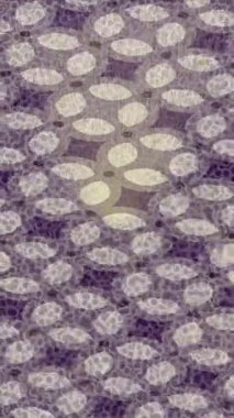 Profesyonel video projeleri sanat tarzı için organik hareketli arkaplan tasarımı