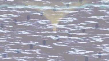 Yaratıcı video düzenleme film tasarımı için benzersiz hareket grafikleri biçimi giriş hareketi video pro