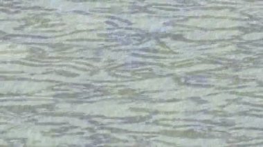 Benzersiz dijital hareket grafiklerine sahip yaratıcı sinematik projeler için yumuşak animasyon yüzeyi