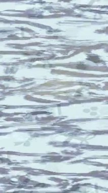 Lüks hareket tasarımı üst düzey video projeleri ve dijital sanat için zarif, pürüzsüz bir dokusu var.