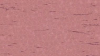 Lüks hareket tasarımı üst düzey video projeleri ve dijital sanat için zarif, pürüzsüz bir dokusu var.