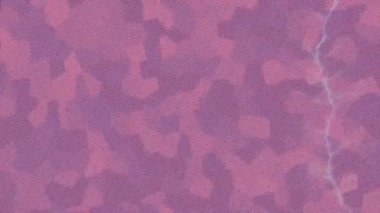 Yaratıcı video düzenleme film arkaplan tasarımı için minimalist organik hareket grafikleri