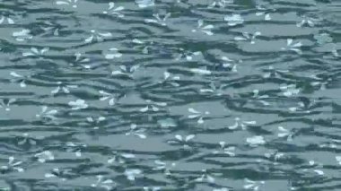 Benzersiz dijital hareket grafiklerine sahip yaratıcı sinematik projeler için yumuşak animasyon yüzeyi