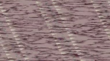 Lüks hareket tasarımı üst düzey video projeleri ve dijital sanat için zarif, pürüzsüz bir dokusu var.