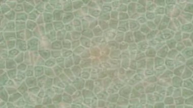 Profesyonel video projeleri sanat tarzı için organik hareketli arkaplan tasarımı