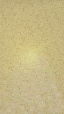 Benzersiz dijital hareket grafiklerine sahip yaratıcı sinematik projeler için yumuşak animasyon yüzeyi