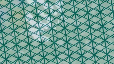 Yaratıcı video düzenleme film arkaplan tasarımı için minimalist organik hareket grafikleri