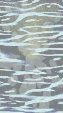 Benzersiz dijital hareket grafiklerine sahip yaratıcı sinematik projeler için yumuşak animasyon yüzeyi