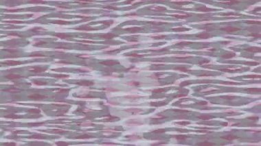 Yaratıcı video düzenleme film arkaplan tasarımı için minimalist organik hareket grafikleri