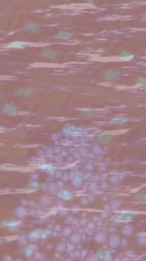 Lüks hareket tasarımı üst düzey video projeleri ve dijital sanat için zarif, pürüzsüz bir dokusu var.