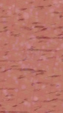 Estetik doku arkaplan tasarımı renkli hareket grafikleri ile moda film giriş profosyoneli