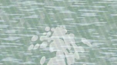 Benzersiz dijital hareket grafiklerine sahip yaratıcı sinematik projeler için yumuşak animasyon yüzeyi