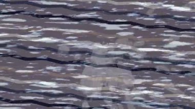 Benzersiz dijital animasyon tarzı grafikleri olan yaratıcı ortam tasarımı için yenilikçi hareket dokusu