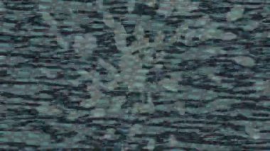 Benzersiz dijital hareket grafiklerine sahip yaratıcı sinematik projeler için yumuşak animasyon yüzeyi