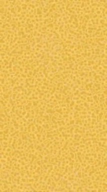 Benzersiz hareket dokusu tasarım sanatı ile profesyonel video düzenleme için modern soyut grafikler