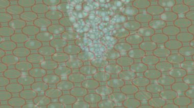 Dijital doku yüzey tasarım biçimi ile modern video animasyonu için gelişmiş hareket grafikleri