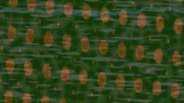 Organik desenli yüzey giriş stili video film sanatı ile soyut arkaplan tasarımı