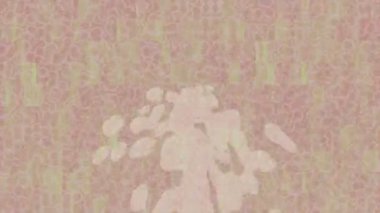 Soyut hareket desenli fütüristik video üretimi için dinamik dijital arkaplan