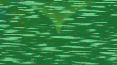 Estetik doku arkaplan tasarımı renkli hareket grafikleri ile moda film giriş profosyoneli