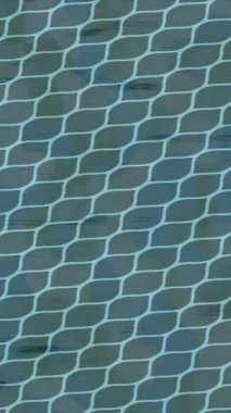 Lüks hareket tasarımı üst düzey video projeleri ve dijital sanat için zarif, pürüzsüz bir dokusu var.