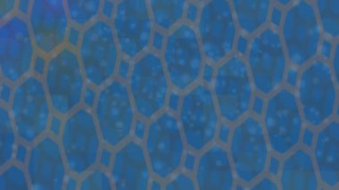 Yaratıcı video düzenleme film arkaplan tasarımı için minimalist organik hareket grafikleri