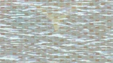 Soyut hareket desenli fütüristik video üretimi için dinamik dijital arkaplan