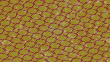 Yaratıcı video düzenleme film arkaplan tasarımı için minimalist organik hareket grafikleri