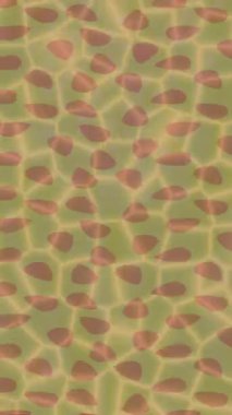 Estetik doku arkaplan tasarımı renkli hareket grafikleri ile moda film giriş profosyoneli