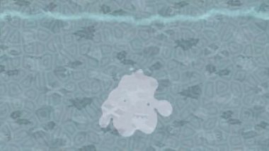 Yaratıcı video düzenleme film tasarımı için benzersiz hareket grafikleri biçimi giriş hareketi video pro