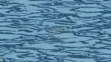 Benzersiz dijital animasyon tarzı grafikleri olan yaratıcı ortam tasarımı için yenilikçi hareket dokusu