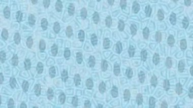 Benzersiz dijital animasyon tarzı grafikleri olan yaratıcı ortam tasarımı için yenilikçi hareket dokusu