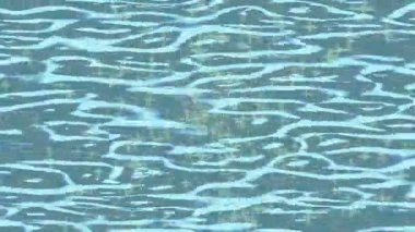 Profesyonel video projeleri sanat tarzı için organik hareketli arkaplan tasarımı