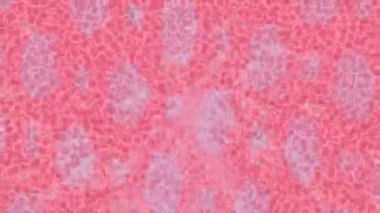 Benzersiz hareket dokusu tasarım sanatı ile profesyonel video düzenleme için modern soyut grafikler