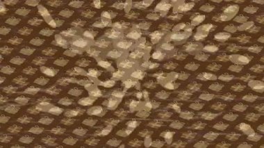 Organik desenli yüzey giriş stili video film sanatı ile soyut arkaplan tasarımı