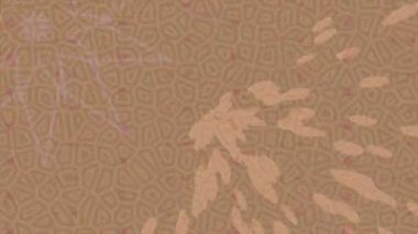 Yaratıcı video düzenleme film arkaplan tasarımı için minimalist organik hareket grafikleri